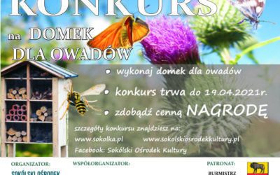 Konkurs na domek dla owadów