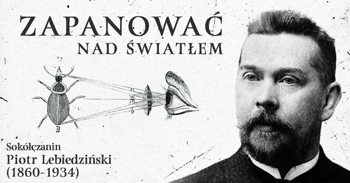 fb zapanować nad światłem