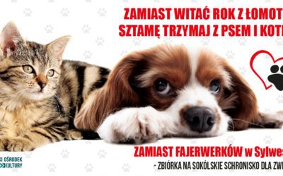 Akcja „ZAMIAST WITAĆ ROK Z ŁOMOTEM, SZTAMĘ TRZYMAJ Z PSEM I KOTEM”