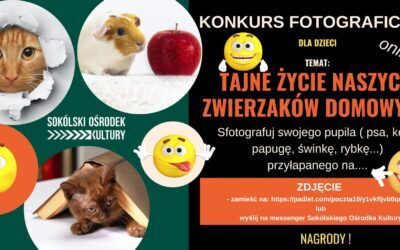 Konkurs fotograficzny „Tajne życie naszych zwierzaków domowych”