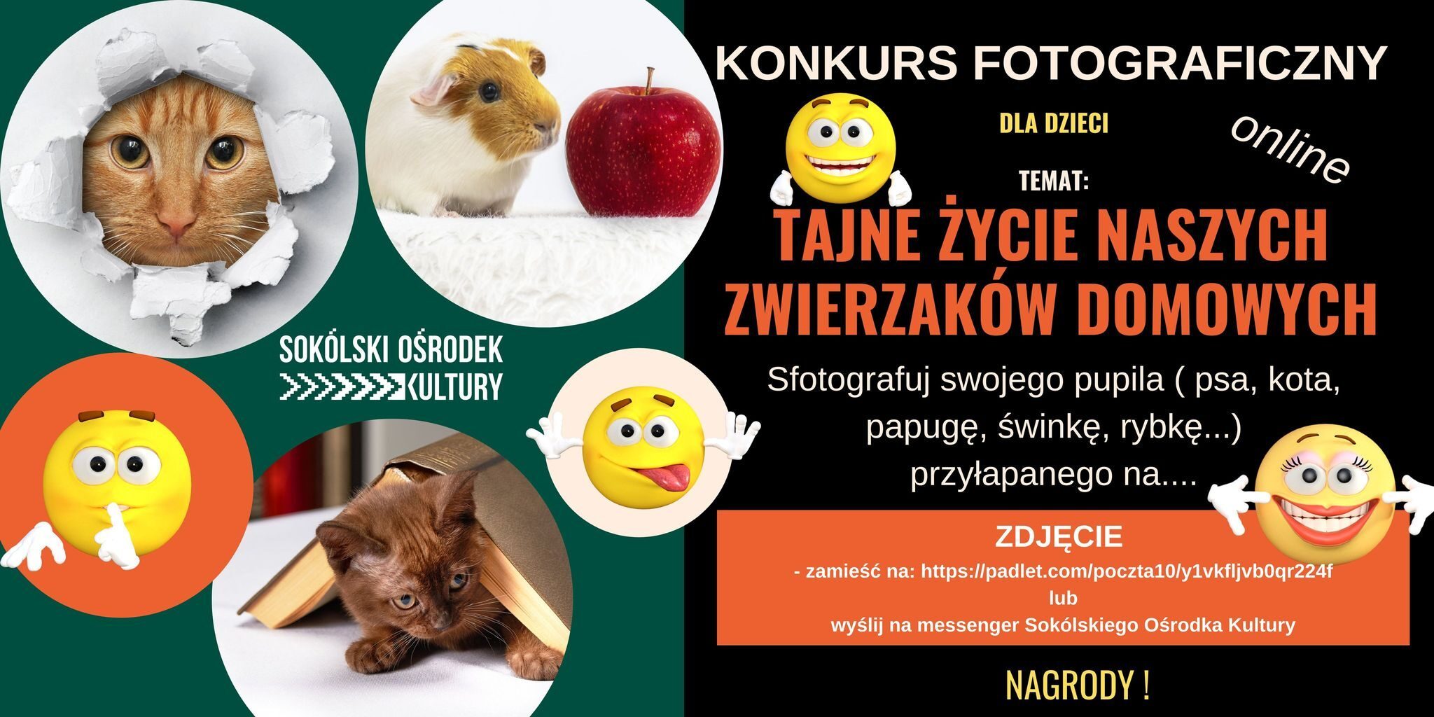 konkurs fotograficzny