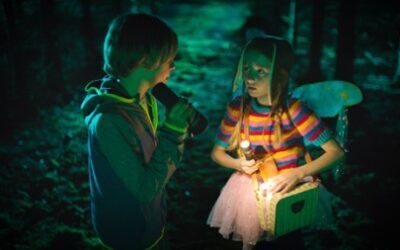 WAKACYJNE SPOTKANIA FILMOWE w Kinie „Sokół” – „MARTIN I MAGICZNY LAS”