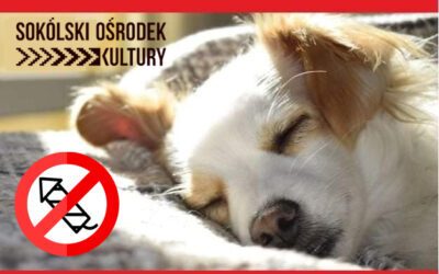 Zamiast witać rok z łomotem, sztamę trzymaj z psem i kotem!