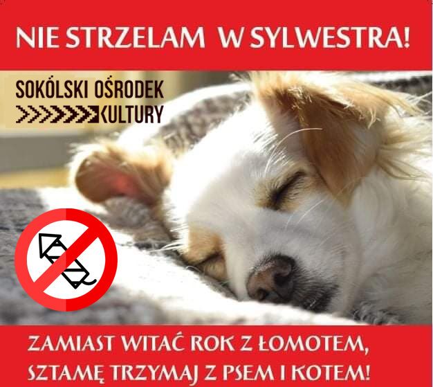 nie_strzelam copy