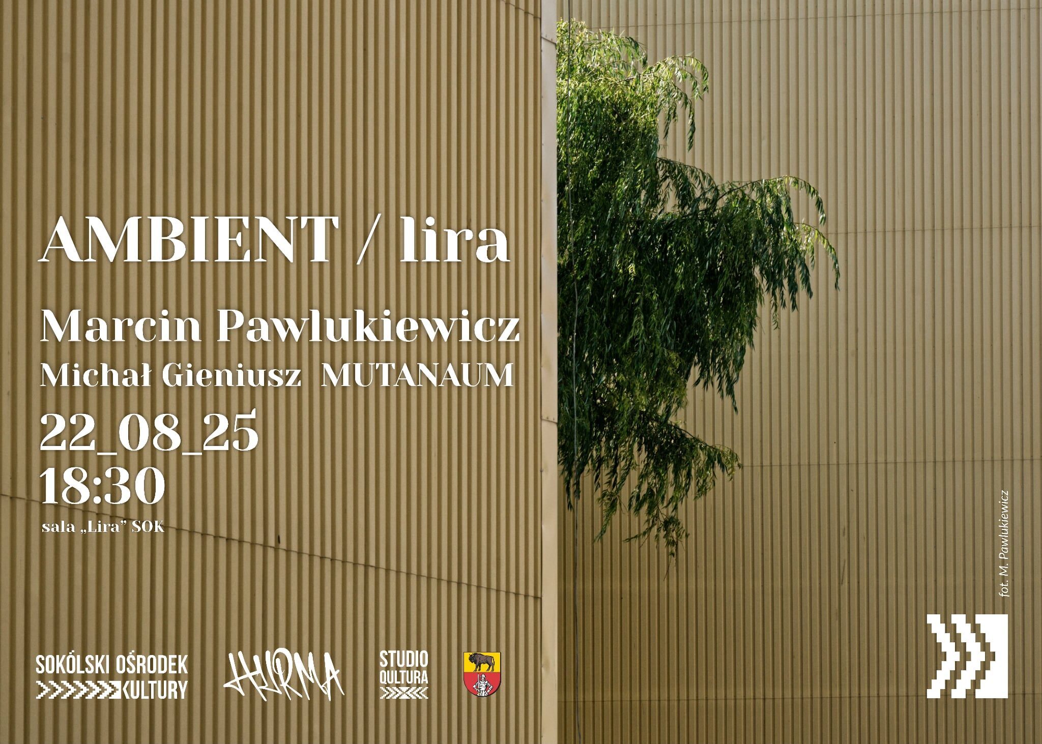 pawlukiewicz_plakat_ambient_S