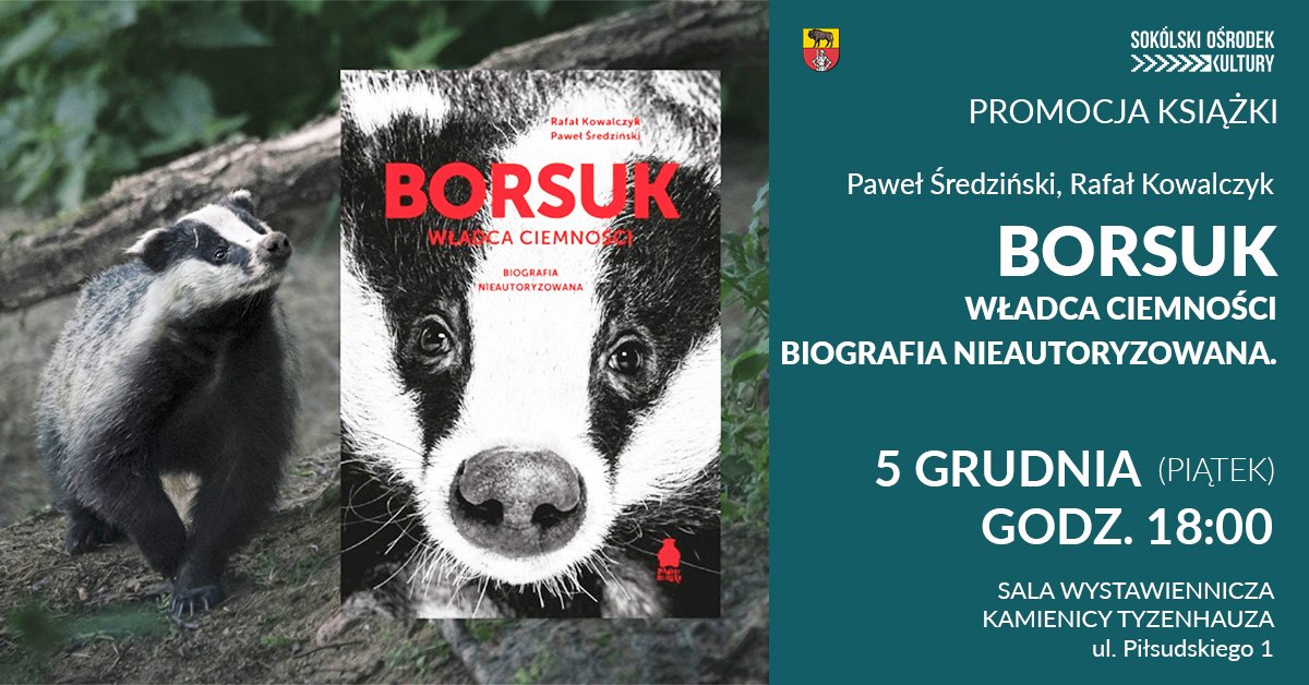 borsuk