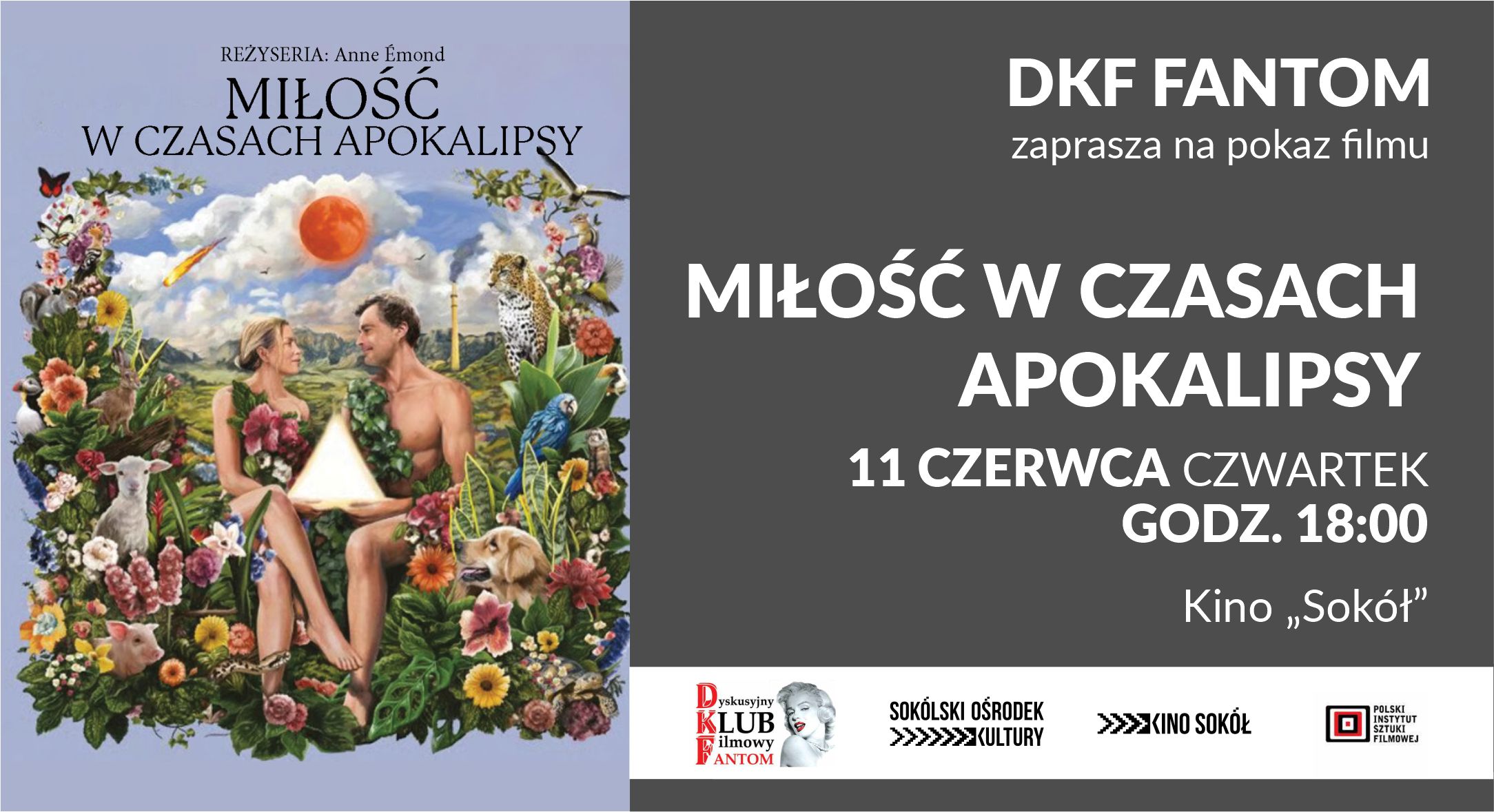 milosc_w_czasach_dkf