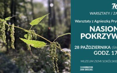 Zapisy na warsztaty zielarskie w Muzeum SOK